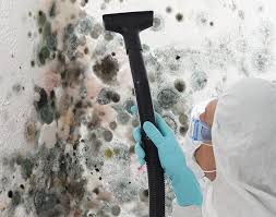 Best Comprehensive Air Testing for Mold Contaminants  in USA